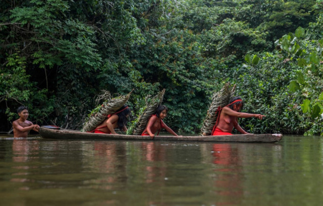 Indigenous peoples, 'guardians of Nature', under siege