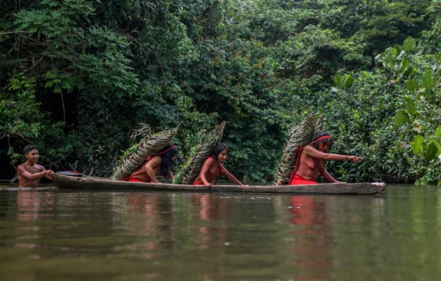 Indigenous peoples, 'guardians of Nature', under siege