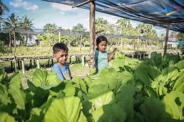 Rural Development Bank pledges a US$2 million loan scheme to support safe vegetable producers   