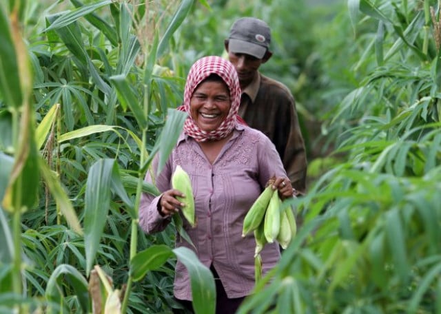 Laos, Cambodia, Vietnam partner in agricultural research