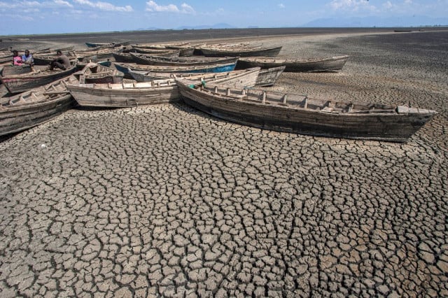 Climate change on track to reduce ocean wildlife by 17%