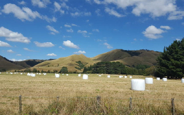 New Zealand passes farm debt mediation bill