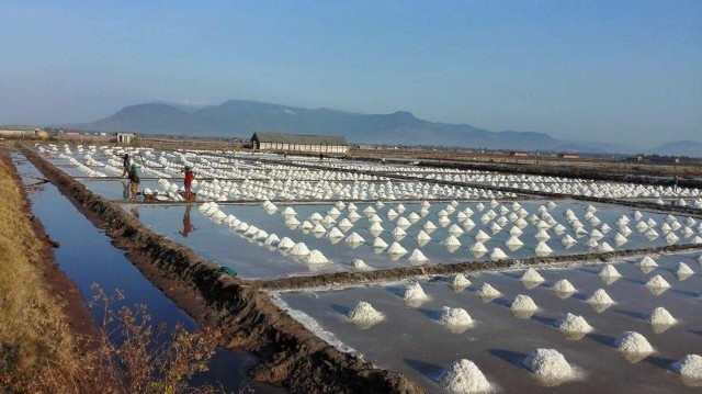 Cambodia’s salt production this year falls short of the country’s needs 