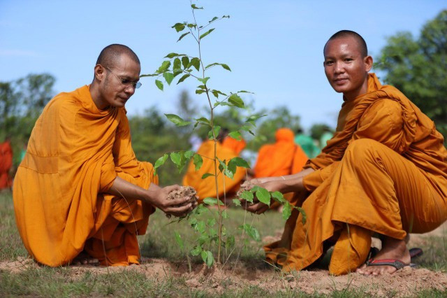 Tree-Planting Initiatives in Angkor Park Gain a Growing Number of Supporters