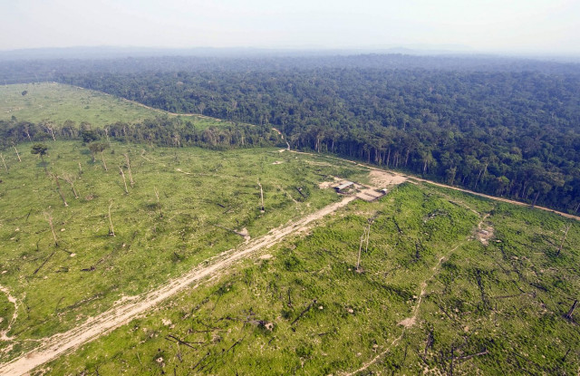 Brazilian Amazon deforestation surges, embattled institute says