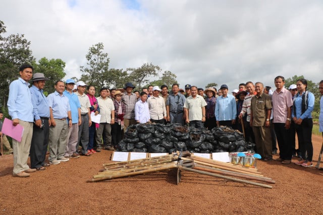 Mass planting of sugar palm seedlings along Lao border