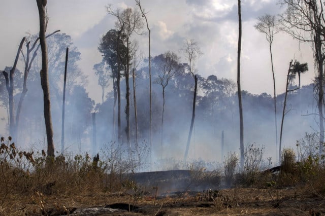 G7 pledges millions to fight Amazon fires