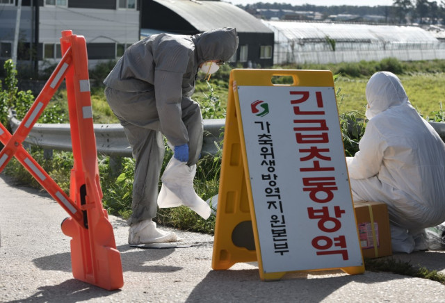 Seoul confirms 4th swine fever case, asks Pyongyang for cooperation