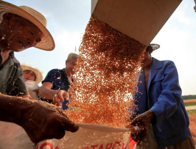 China pledges over 330 mln mu of winter wheat