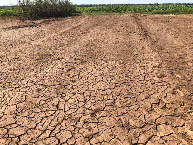 The Government Launches Support Action Ahead of the Drought 