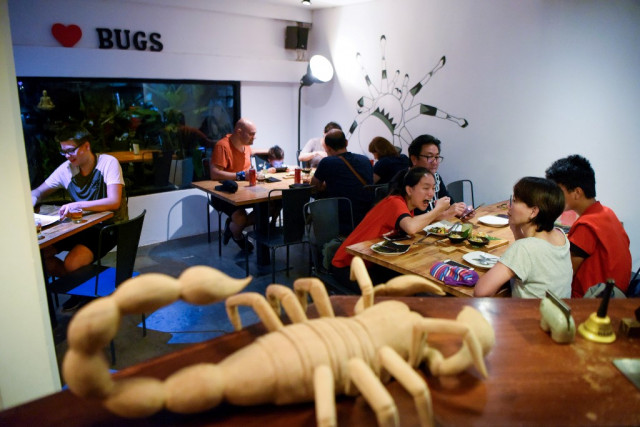 This story has legs: Cambodia 'bug cafe' serves up insect tapas