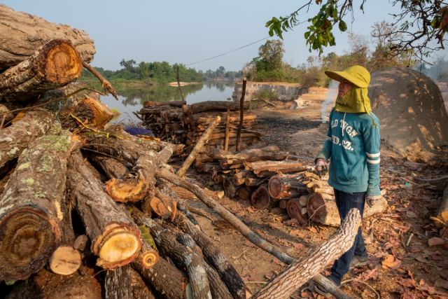Fuelwood Demand Goes Up as Cambodia Looks for Sustainable Uses