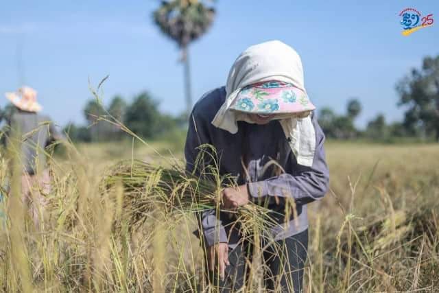 FAO says world food prices hit five-year high 