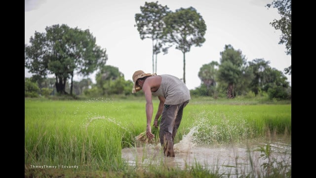 Toward a Country Without Farmers?