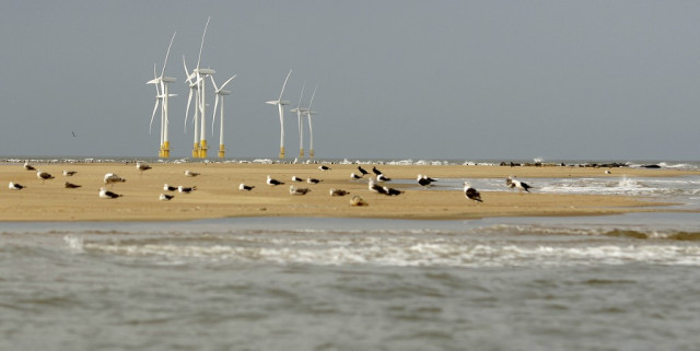 UK looks to offshore wind for green energy transition
