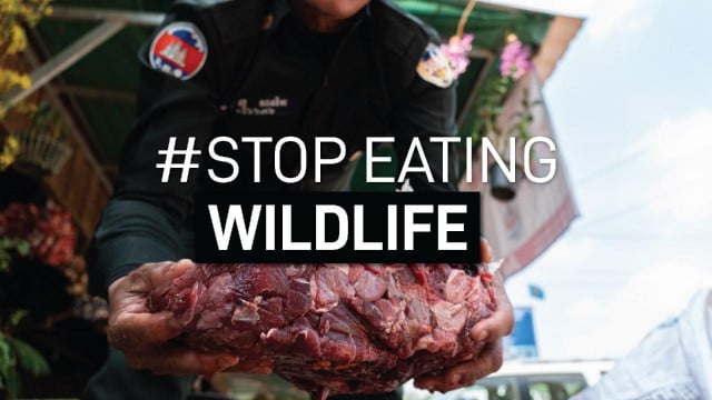 Asian Populations Are Open to Banning Wildlife Food Products in View of COVID-19