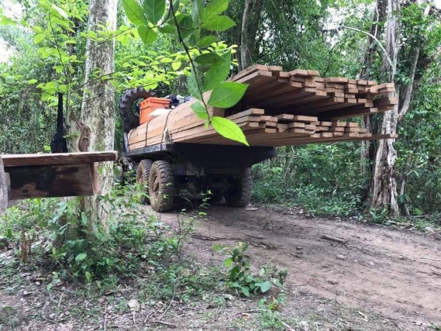 Activists Warn of Illegal Deforestation in Pursat Province