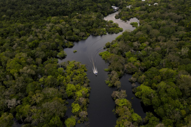 With attention on virus, Amazon deforestation surges