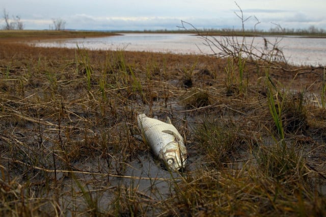 Russian mayor charged over failure to contain Arctic spill