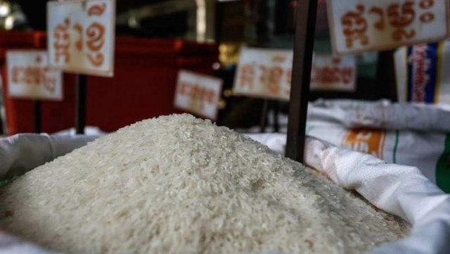 Cambodia’s Rice Exports Jumps 41 Percent this Year