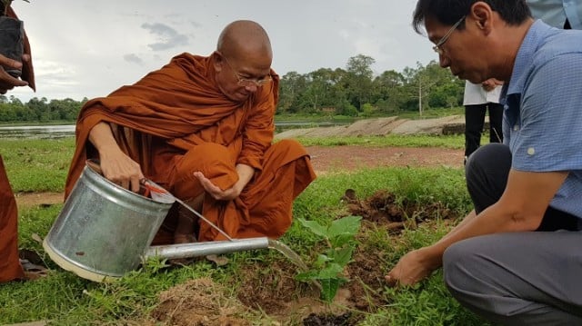 Buddhist Monks Get Involved in Bael Tree Planting in Angkor Park