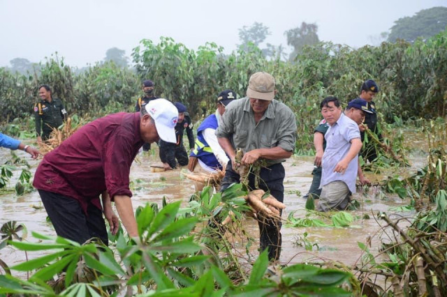  Heavy Rains Damage Thousands of Hectares of Crop Land in Cambodia