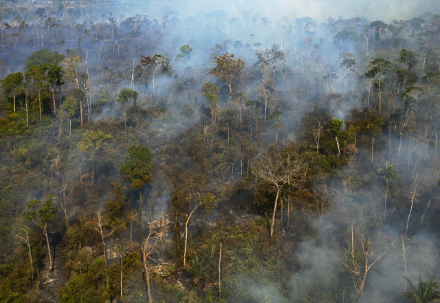 US firms fund deforestation, abuses in Amazon: report