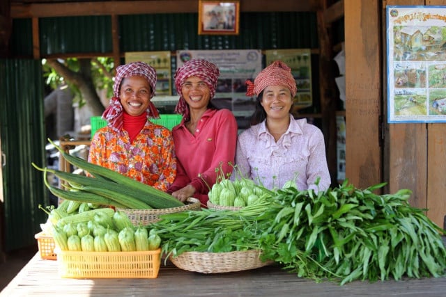 The ADB Approves a $70 Million Loan to Help Farmers with Access to Credit and Product Quality