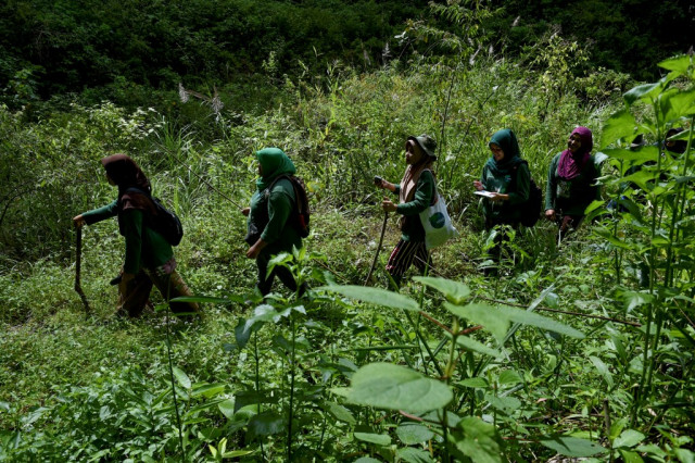 Indonesia's female forest guardians fight for the environment