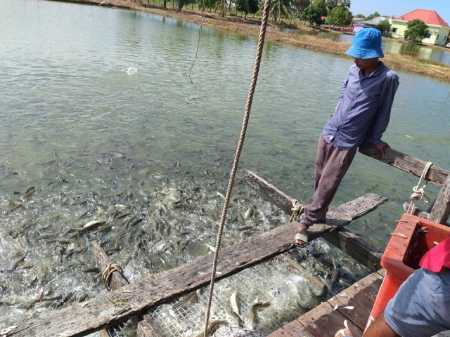 The Agriculture Ministry Appeals to Local Traders to Suspend Vietnamese Fish Imports