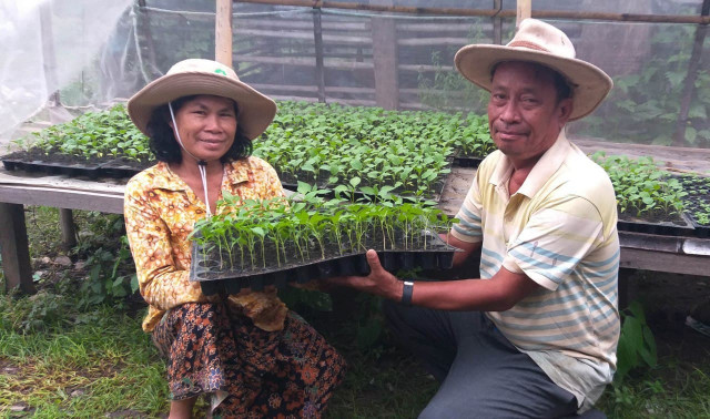Successful Farmer in Stung Treng: Using Grafting and Irrigation Technologies to Enhance Family Income 
