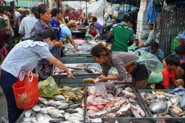 Fishing Tour Cambodia along the road of Khan Sen Sok in Phnom Penh city,  Cambodia 