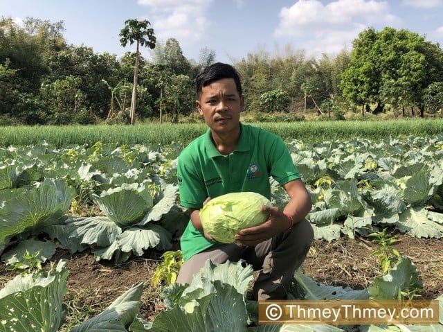 Reformed Illegal Logger Turns to Organic Farming in Mondulkiri