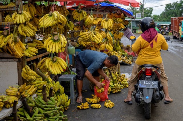 Indonesia virus-hit economy posts first yearly contraction since 1998