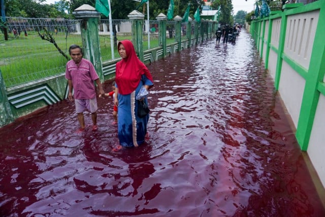 Batik dye causes blood-red flood in Indonesia