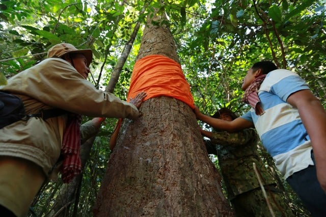 Environment Ministry Prohibits Local Community from Holding Prey Lang Ordination Ceremony 