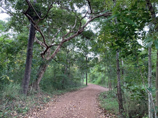 Community Empowerment and Behavior Change Are Critical for Cambodia’s Forest Protection 