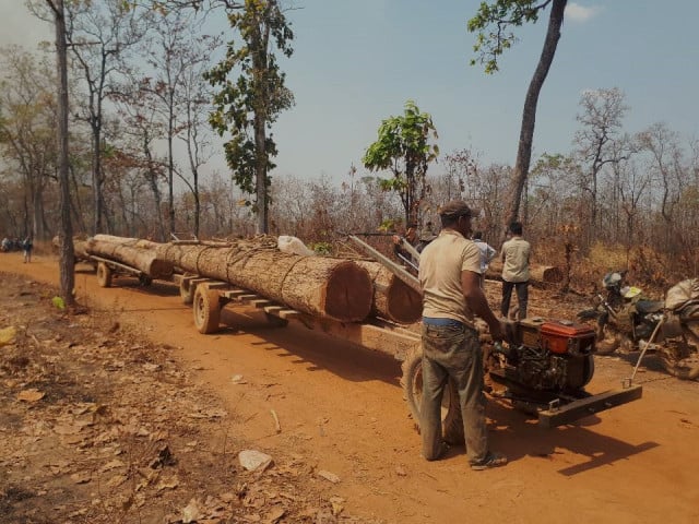 Failing Conservation Efforts in Prey Lang Once Again Focus of Scrutiny