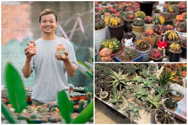 Architect-Turned-Gardener Hopes to Reduce Imports of Succulent Plants from Abroad