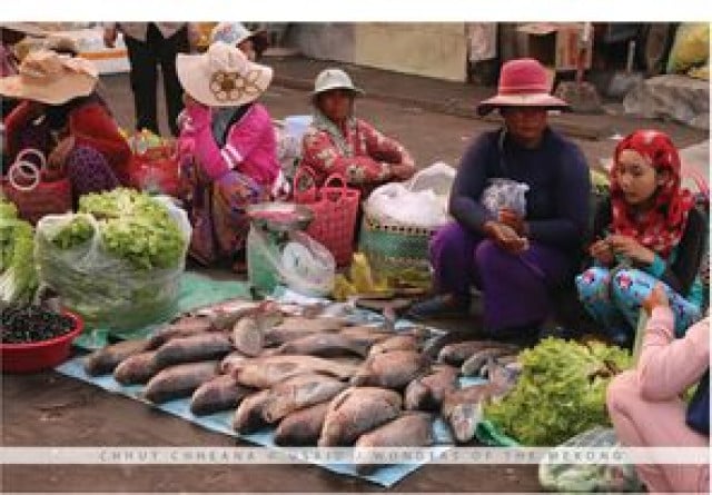 Stung Treng Province: A Bounty of Life along the Magnificent Mekong River