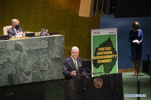 UNGA president calls for integrating nature restoration into efforts to build back better