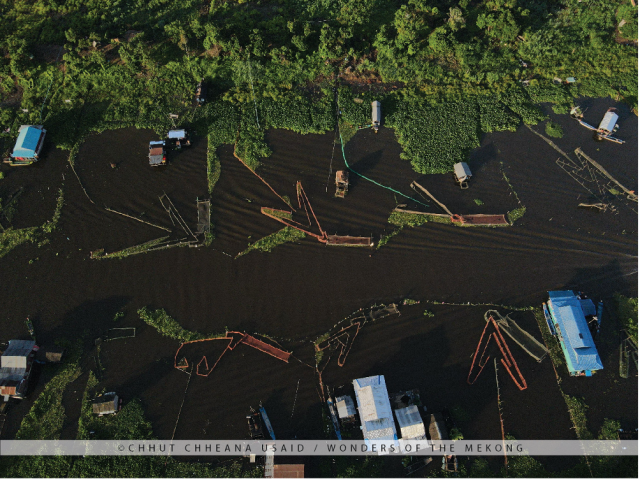 Arrow Shaped Fish Traps Along Stung Sangkae River: How Do They Work?