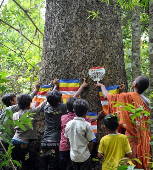 Opinion: Cambodia Needs More Active Environmental Youth Engagement