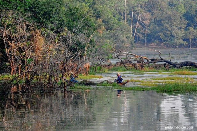 UN: More Funding at Sub-National Level Needed to Tackle Climate Change