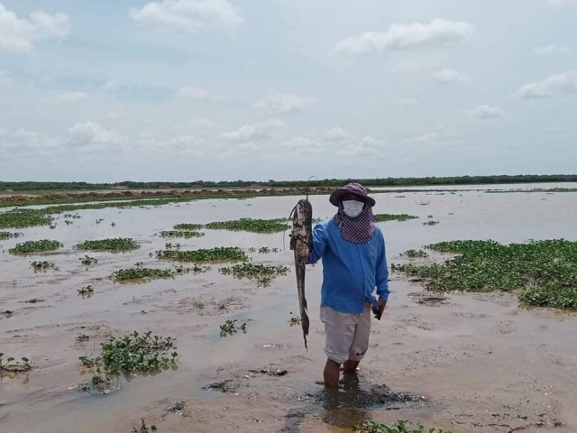 Water in Boeung Pearaing Sanctuary Runs Dry, Threatens Fish Species