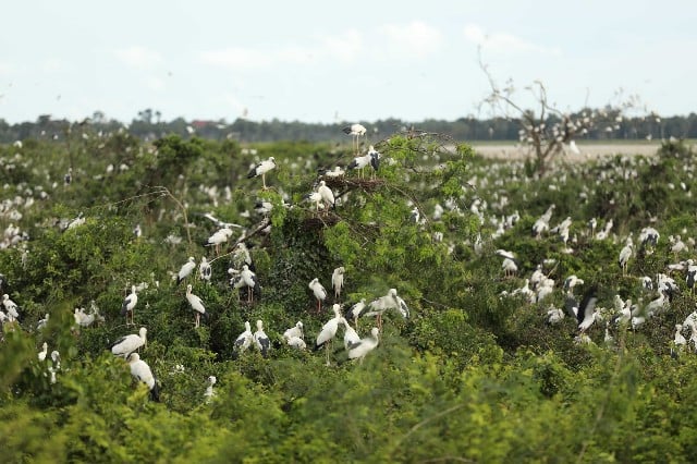 Conservation Area Welcomes Tourists After Bird Flu Contained