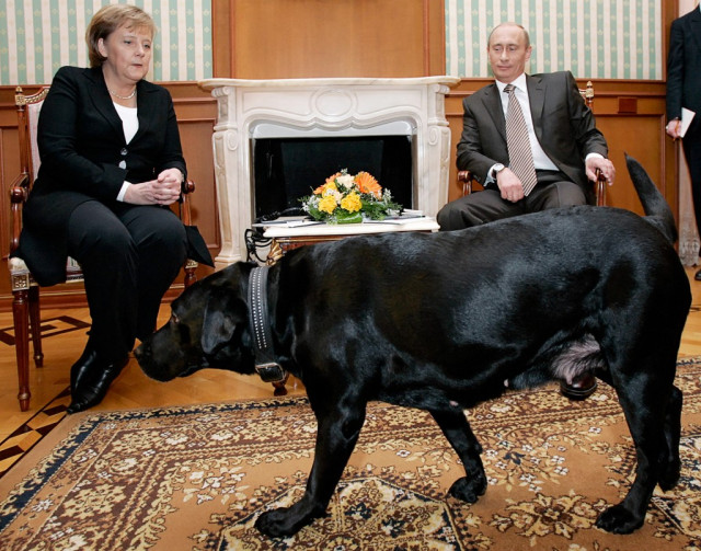 Merkel-Putin era ends: dogs, flowers and tart ripostes
