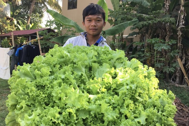 A University Graduate in Agriculture launches Hydroponics Farming in His Hometown