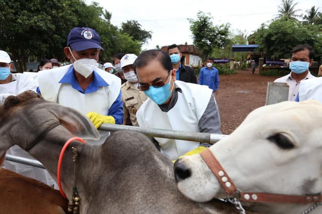 People Urged to Bring Cows and Buffalos for Lumpy Skin Disease Vaccination