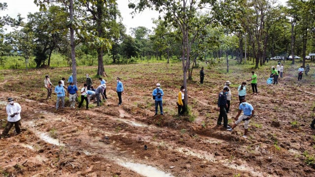 More than 1,000 Rosewood Trees Planted to Mark Ozone Day